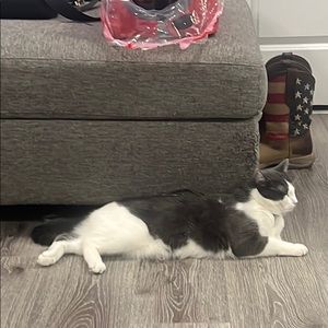 Meet your Posher, Ismael